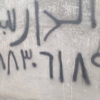 حي الألبان • ٢٠٠م • حديقة