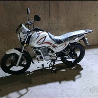 موديل ٢٣ • كامل • ما بي أوراق