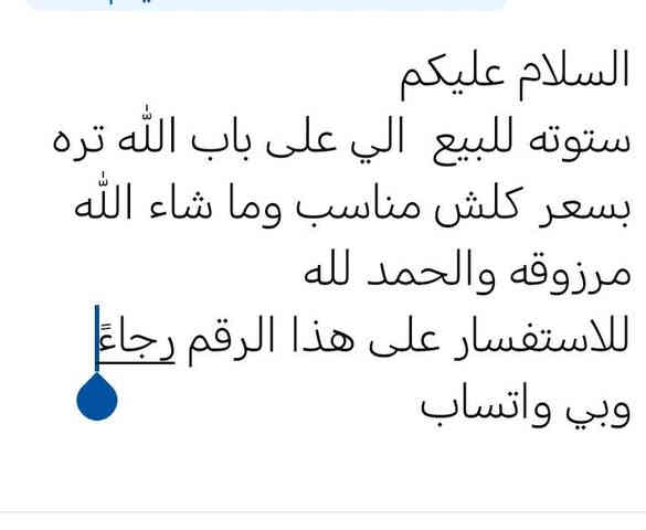 رقم صاحب الستوته *********** ابو خليل
