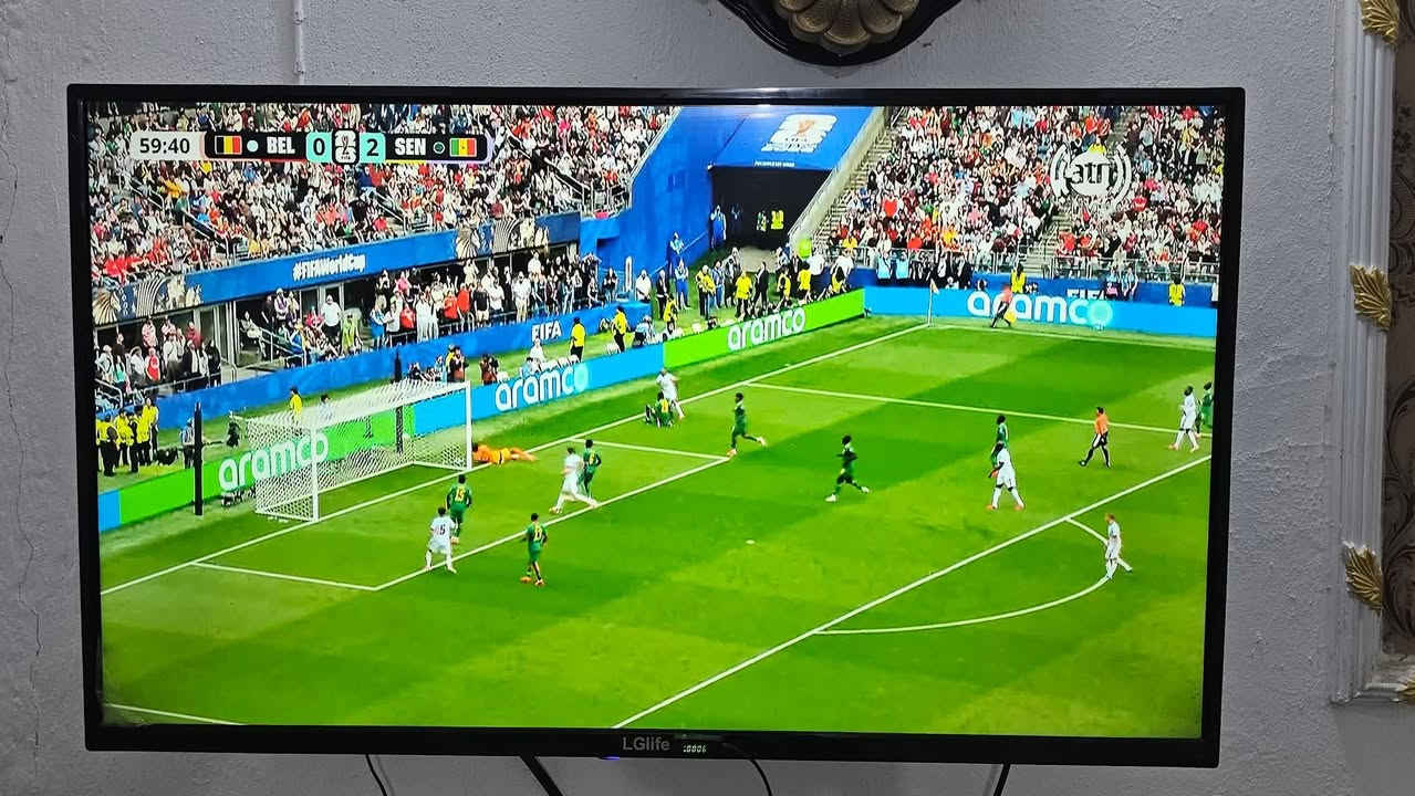 لمشاهده كأس العالم مجاناً
متعة دوري أبطال أوروبا، إثارة الدوري الإنكليزي، وجنون الكلاسيكو الإسباني.. كلها على شاشتك وبدون اشتراكات شهرية
حسبة بسيطة: قيمة اشتراك 3 أشهر بالنت تجيبلك منظومة أقمار مجانية تفتحلك كل الدوريات مدى الحياة ومعلق عربي.. احسبها صح وتوكل
واستمتع بأقوى المباريات مجاناً وبأعلى جودة HD
قنوات مجانية مدى الحياة.. عوف النت والاشتراكات
الاستفسار خاص 
أو***********
#بغداد/حي الكوفة/مدينة الصدر/أم الكبر والغزلان
