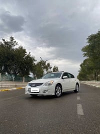 التيما • ٢٠١٢ • بدون صبغ