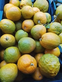 بعقوبة • توصيل مجاني • واتساب