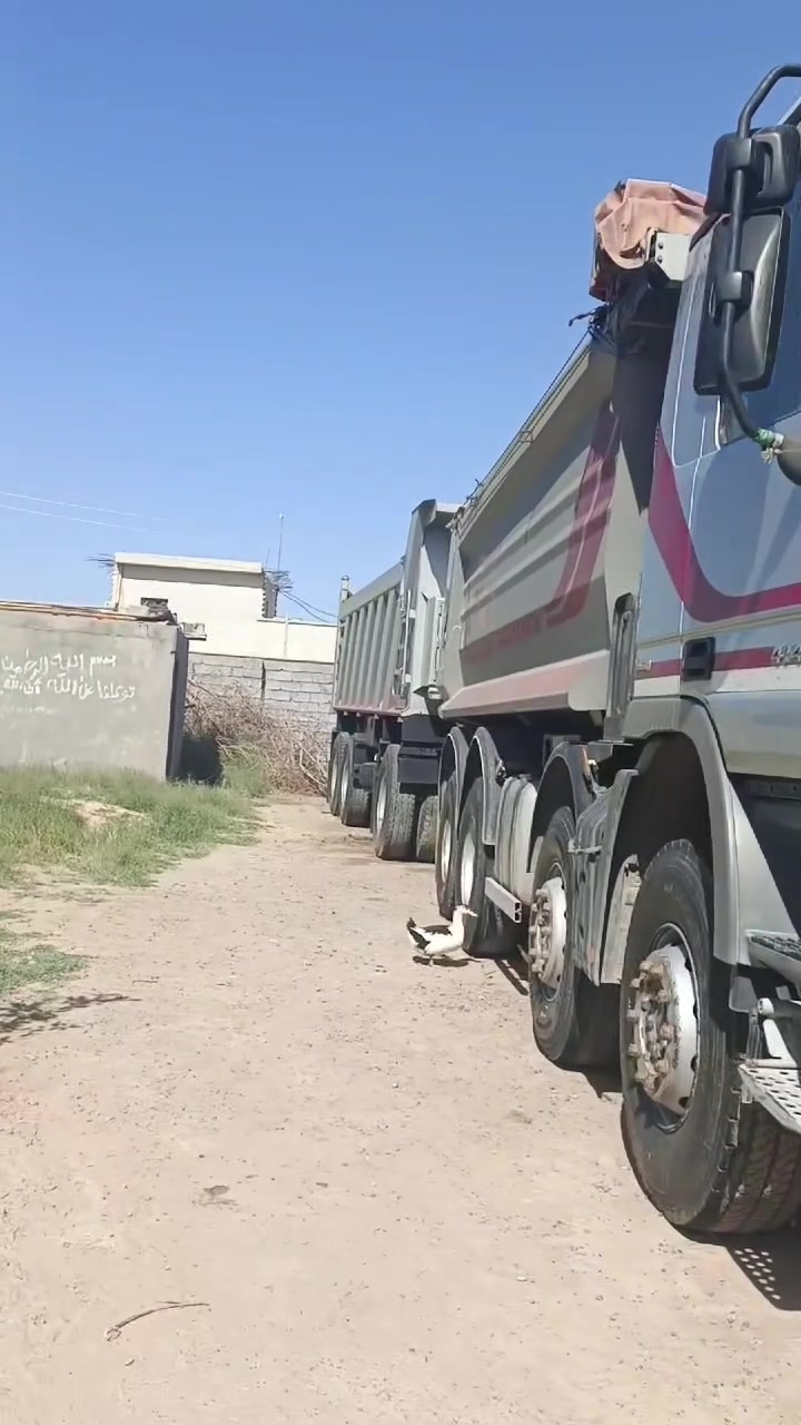 شراي راسلني


**إذا كنت صاحب هذا الإعلان وتريد حذفه لأي سبب، رجاءا أرسل رسالة إلى الدعم الفني**