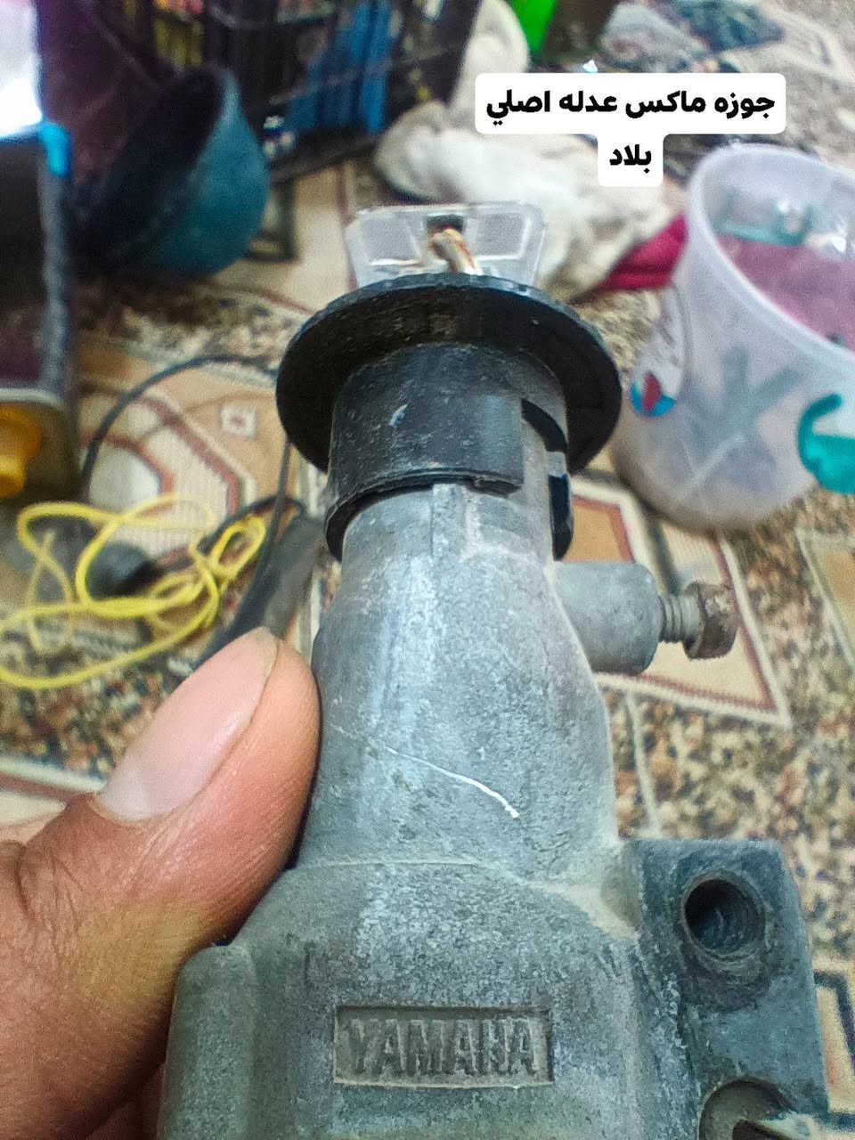 السلام عليكم للبيع كلمن وسعره غراض ماكس وغراض اربعه كير
كله نضيف بس متروك
بالنسبه لغراض الماكس اكثريتهن اصلي وبلاديات
مكاني الناصريه مركز_المنصوريه


**إذا كنت صاحب هذا الإعلان وتريد حذفه لأي سبب، رجاءا أرسل رسالة إلى الدعم الفني**