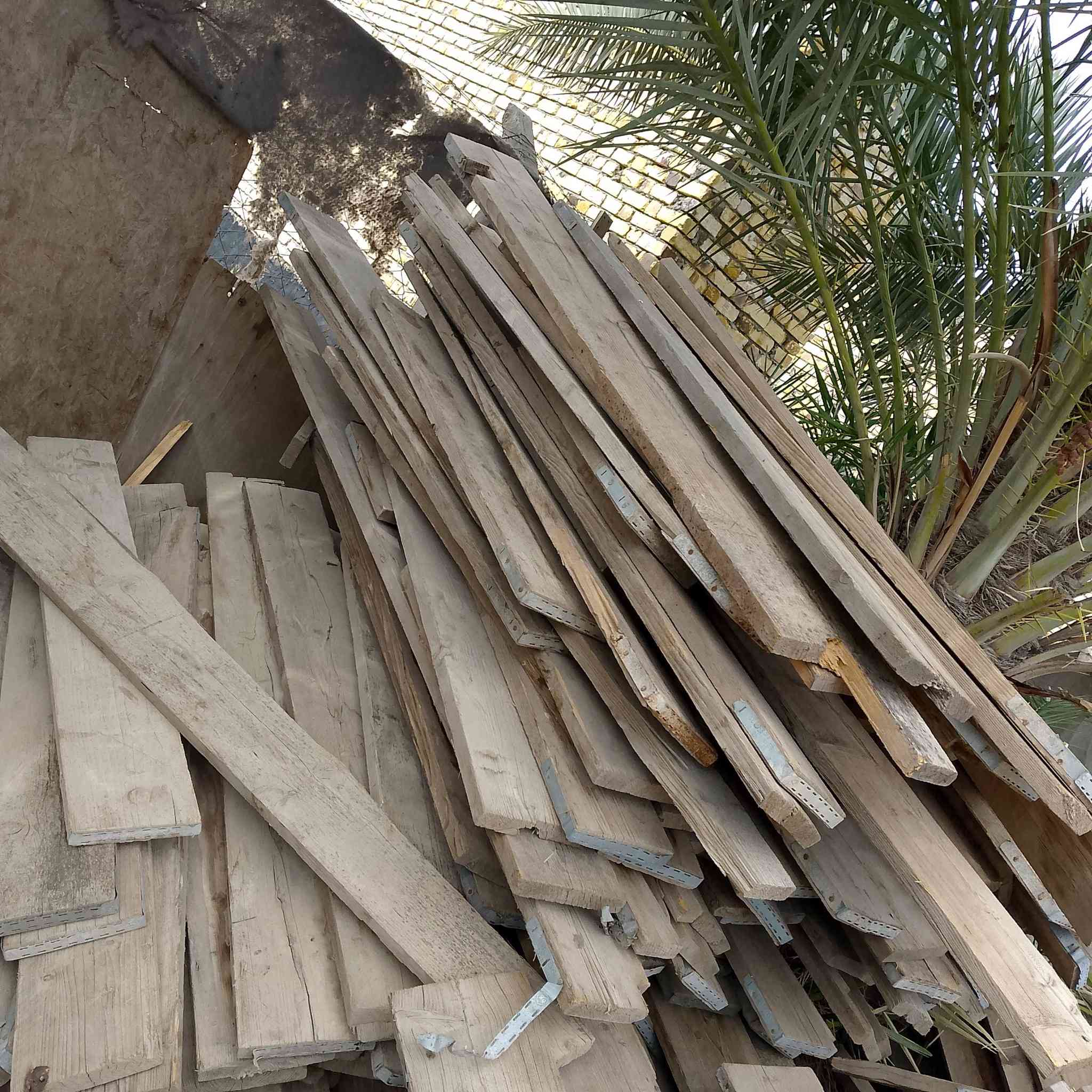 خشب للبيع مكان بابل ***********
