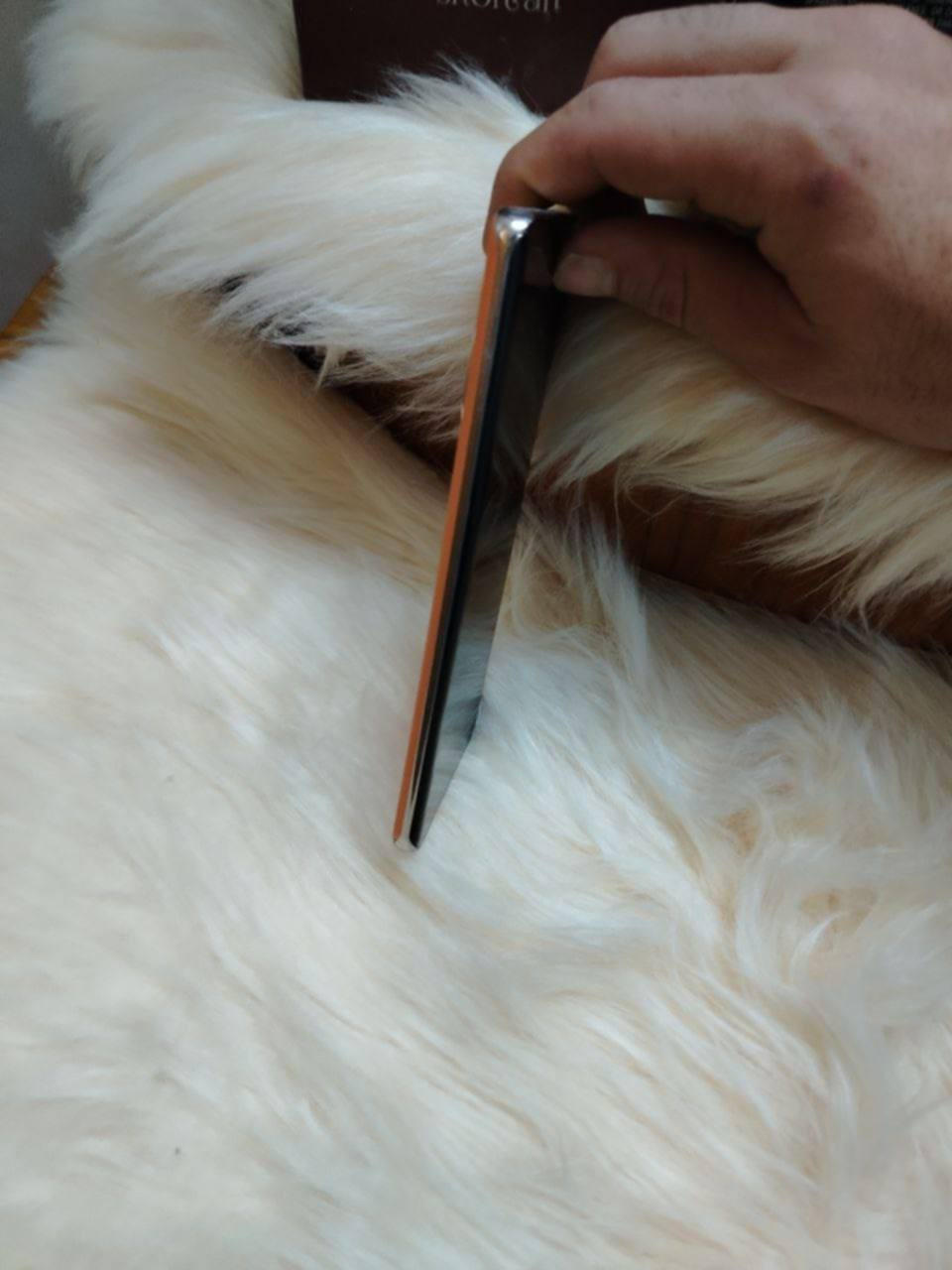 🔸السلام عليكم 🔸
رقمي *********** 
🔸جهاز للبيع 🔸
🔸السم الجهاز 🔸هونر X9

🔸ذاكرت الجهاز 256ول عشوائيه12🔸

🔸الجهاز نضيف كلش استعمال 15يوم الجهاز جديد🔸

🔸بطاريه الجهاز 6800🔸

السعر الجهاز:375وبيه مجال قليل 🔸
