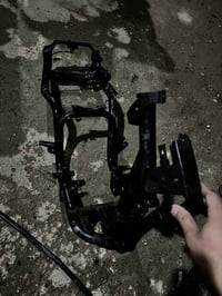 شاصي منغولي • مكفول • بغداد التاجي