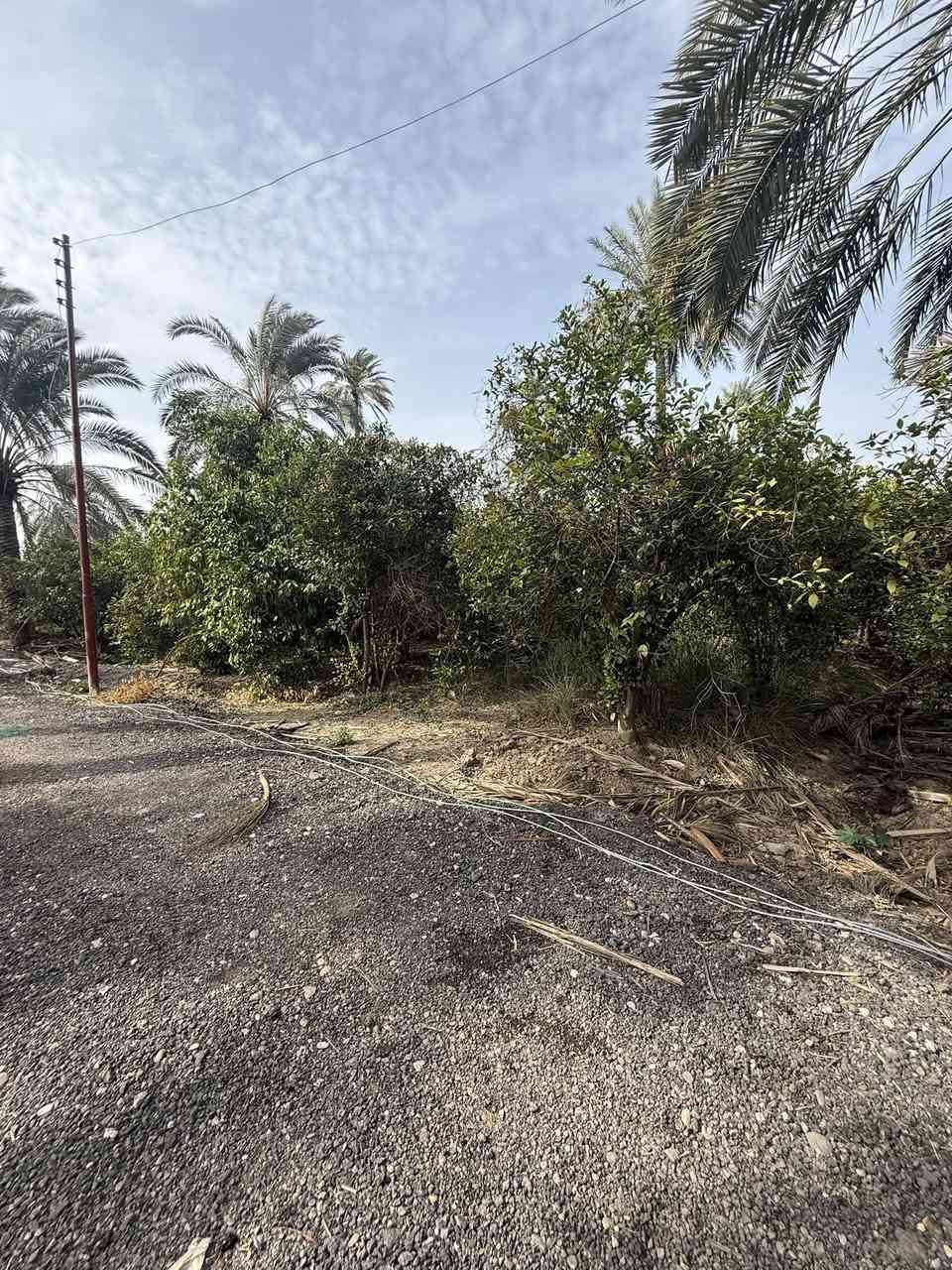 سلام عليكم دونمين طابو زراعي سند 25 للبيع العنوان المدائن سلمان باك منطقة الجعارة سعر الدونم 250 الاستفسار ***********
