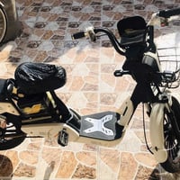 باسكل شحن • عجل 20 • بطارية أصلية