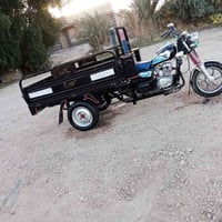 ستوته • موديل 2023-24 • رقم انكليزي