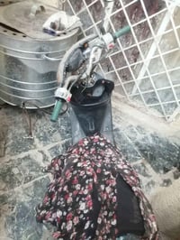 عصفورية • حمل • صندوق حديد