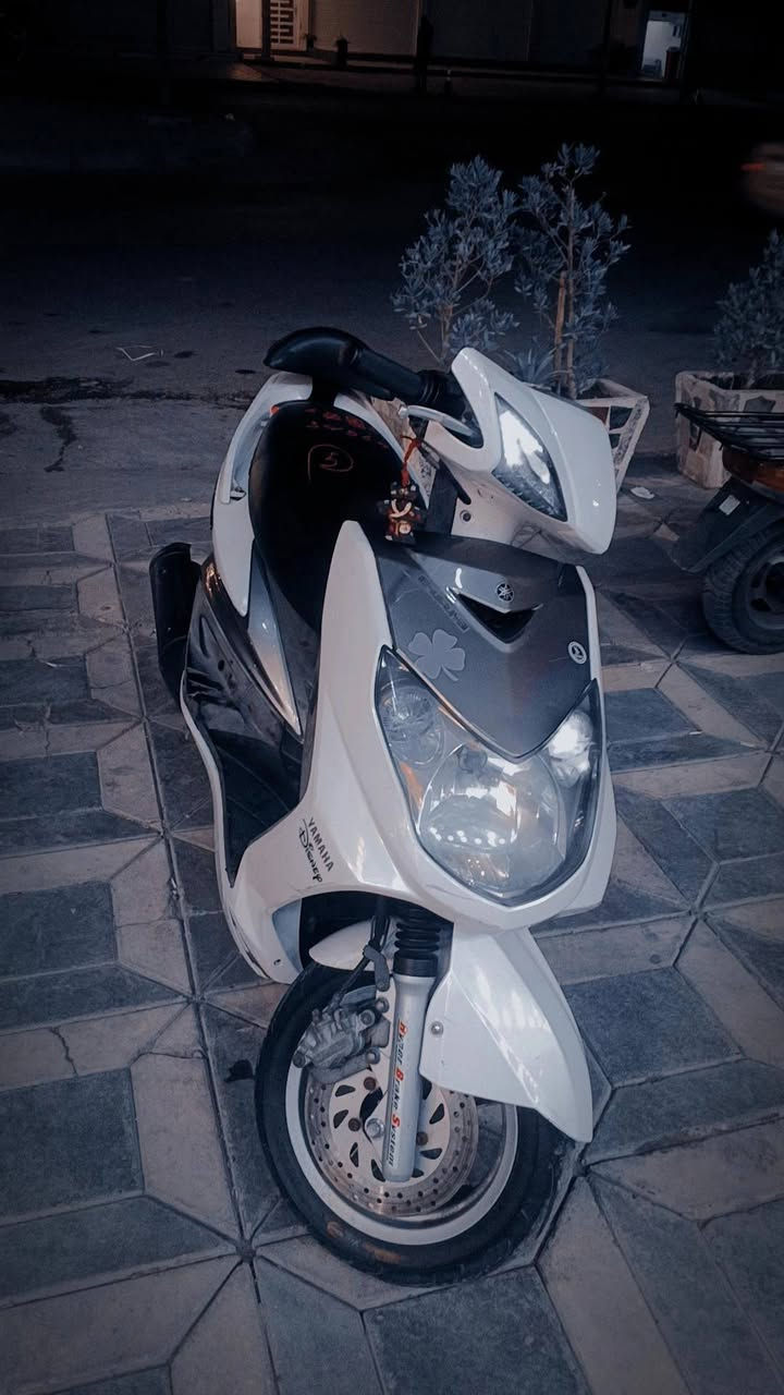 شعدك مراوس نزل سلام عليكم سكنس فحل نوزل دراجه كفاله عامه من الزلق مكينه بلادي كلشي بلادي بيه بس صالنصه صجميه اريد اراوسه بلد او فحل مزود بغداد الشعب ***********
