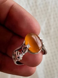 الناصرية • سوق شيوخ • عرض زين