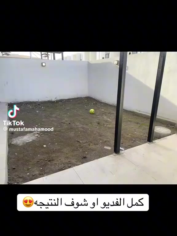 سلام عليكم ♥️
رمضان كريم 🤲🥹🌙

كادر كامل لتصميم  كافه الحدايق بجمل ديكورات 😍

كادر عمل مقرنص بجمل تصاميم ♥️👨‍🌾👨‍🌾

تقليم كافه أنواع الشتلات إلياس كابرس فكس 🌹🌹🌸

تزين ثيل 🌹🌹🥰

كل عليك بس اتصل عل رقم 👇🏻

📞

جاسم شنو ***********
