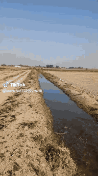 الشيخ عامر • ٥دونم • خدمات كاملة