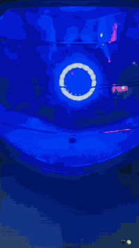 دراجه ماكس عدله ياباني رمبه
صار 3 تشهر من منزله 

دراجه سبانه ما محطوط عليه وشوفت عينك  نصبه وجمال وترتيب  كفرات مبدله لجماليه لا اكثر السعر(900) وبيه مجال حك جيه 

مكان  ناصريه سوق الشيوخ كرمه بني سعيد رقمي ***********
