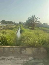 منطقة الشيخ عامر • ٤ دوانم • سند مستقل