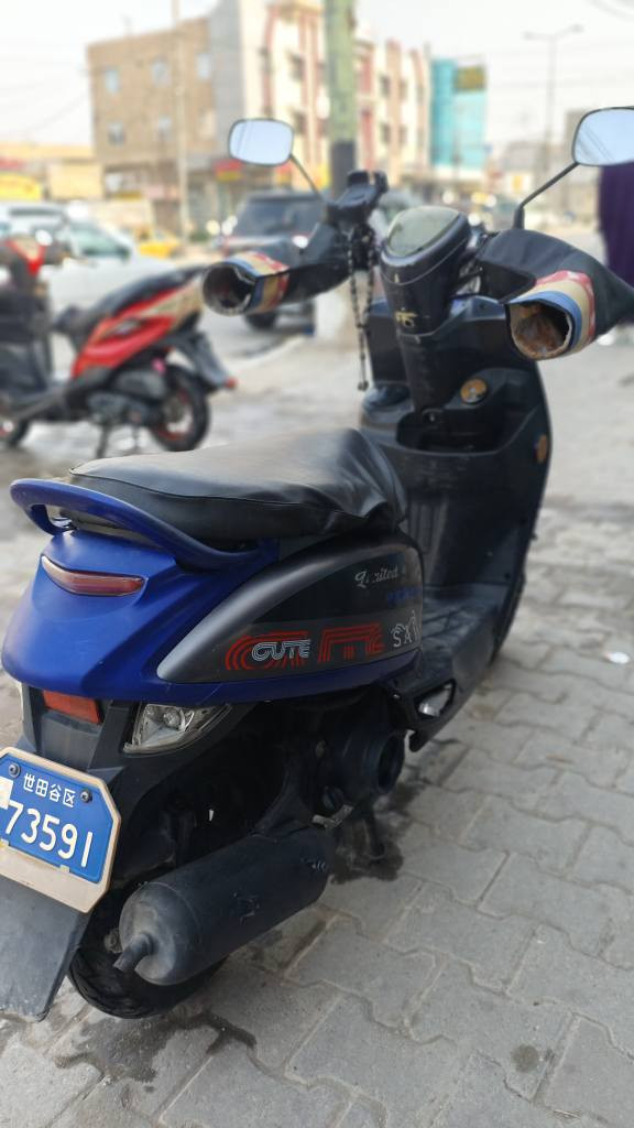 للبيع بوليس صيني المكان كربلاء حي العسكري السعر 650
مجفته بوشه وبستم ماكس عدله كربلاء, العراق


**إذا كنت صاحب هذا الإعلان وتريد حذفه لأي سبب، رجاءا أرسل رسالة إلى الدعم الفني**