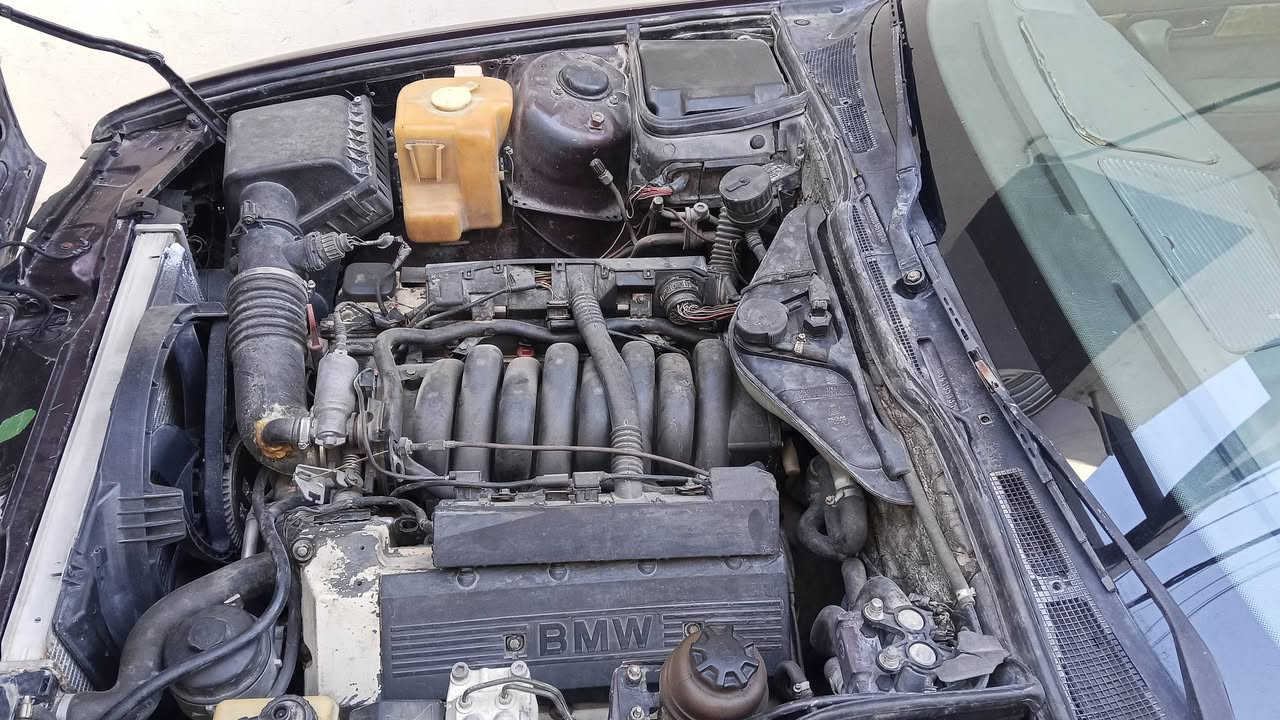 سلام عليكم من رخصت الادمن 730
مكينه كير تبريد كفاله 
لون اسود بيذنجاني 
رقم بغداد 
تخم تاير جديد
باتري جديد 
مكاني كربلاء 
سعر 45بيه مجال 
عليه غرمات ينزلن من سعره 
تفاصيل اكثر ***********
رجاء الي ما انفيده اعبر المنشور تحياتي لجميه
