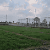 ابي غريب • ٢٥٠٠م • طابو زراعي