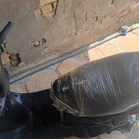 فراشة • نضيه • كهربائية