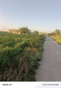 ١٥ دونم • زراعي • خدمات كاملة