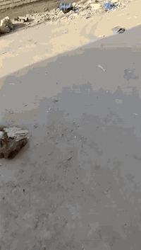 بيت     110.  متر  للبيع. قرب جامع البصراوي علا ساحه ركن
الرقم للتصال والاستفسار
***********
