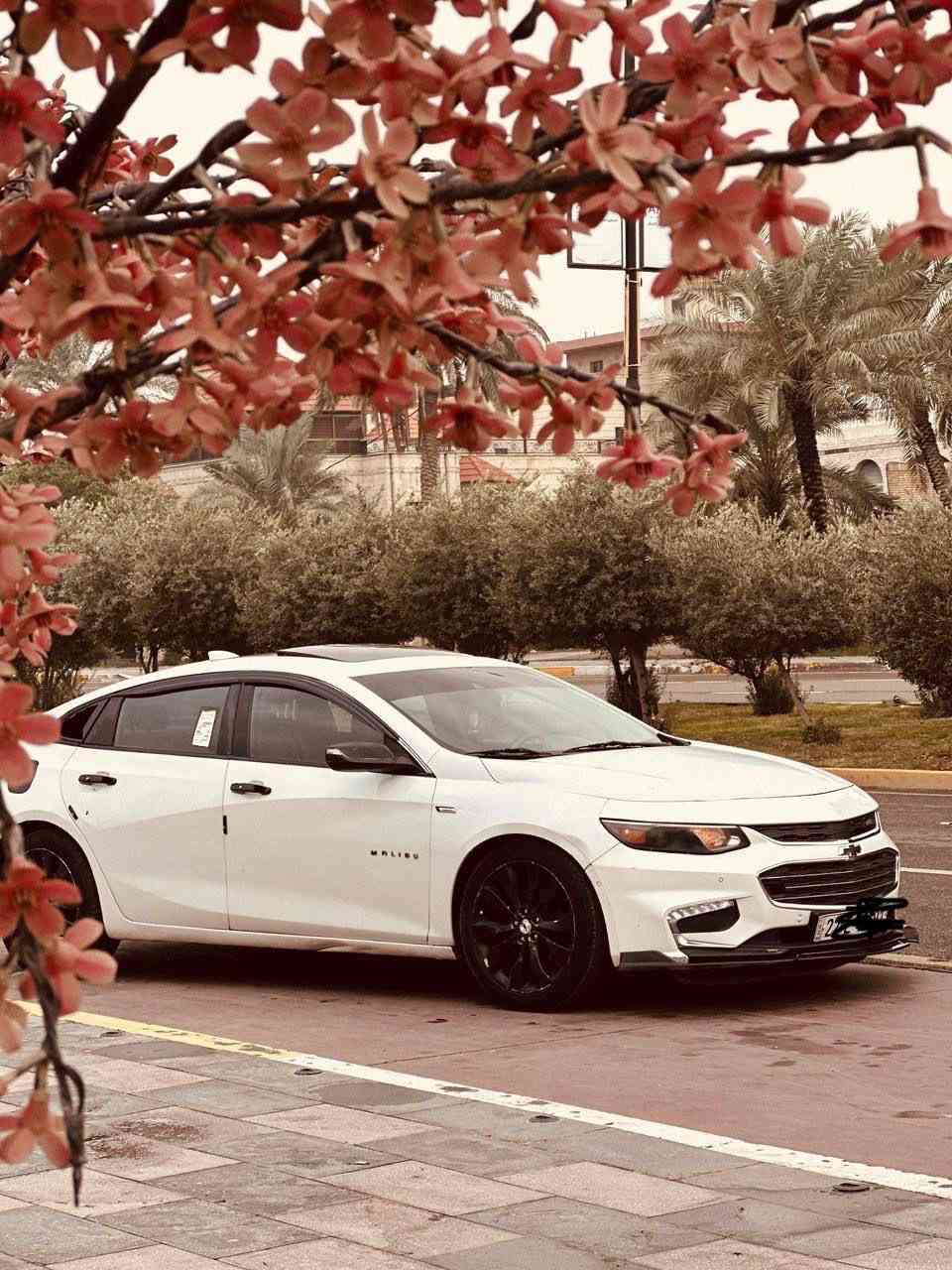 سلام عليكم 
ماليبو 2016 بريمير اعلى فئه سبورت  
محرك 2000 تيربو 
فول مواصفات لاخير
بنوراما
داخل جوزي 
بصمه تشغيل 
بصمه اربع ابواب 
تشغيل عن بعد 
تبريد قطعتين 
كشنات جلد تدفئه تبريد 
رادار امامي
تحكمات سترين
وبعد بيها هواي مواصفات 
سياره نضيفه وحلوه كلش 
حادثها صفحه
بجم كبس 
رقمها اربيل 
مكانها بغداد 
سعرها 120وبيها مجال 
***********
