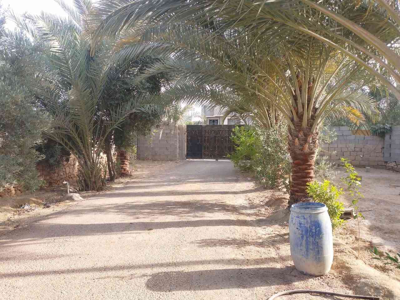 🏠بيت. طابقين للبيع
الموقع / الرمادي / زنكوره قرب على ثانويه الجهاد

 المسساحة 2200متر 

 الشارع 30

تفاصيل البيت / طابقين الطابق الأول بناء حجر سنه 2025
 غرف،2 وصاله ومطبخ ودوانيه  و صحيات داخليه وخارجيه

الطابق الثاني. بناء بلوك 2غرف وصاله وصحيات

 الهاتف / ***********
