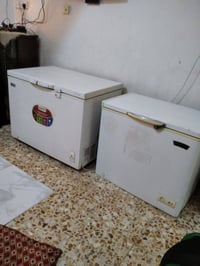 مجمدتين • فول وحجم صغير • حل نادر الاولى