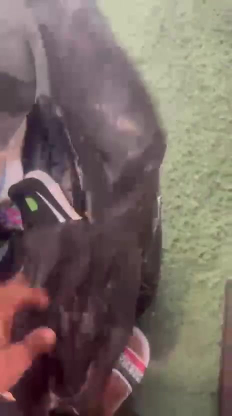 حبايب القلب زباين الحلوين الاكابر اللي انا بكبر فيكم جبنا لكم اليوم بضاعه اورجينال عالاول من اوتليت ابو ناجي للأحذية الأوروبية 
العنوان اللاذقيه نهايه شارع انطاكيا مقابل حلويات ياسر السقا للتواصل والحجز 
0932814814
0947141865


**إذا كنت صاحب هذا الإعلان وتريد حذفه لأي سبب، رجاءا أرسل رسالة إلى الدعم الفني**