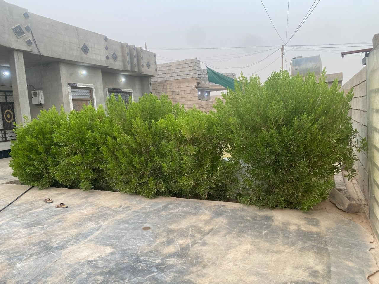 السلام عليكم بيت للبيع السعر38وبي مجال

المو شراي لا يدوخنه ماكو هيچ سعر 

1-غرفتين ٥ب ٤

2-مطبخ ٥ب٤

3-ربعه ٨ب٤

4-هول ٤ب٤

مساحة البناء ١٨٥

المساحه ٥٠٠متر حمامات داخل خارج رجالي نسائي

المكان العلم عرب دبي شارع حامد الشباط 

***********
