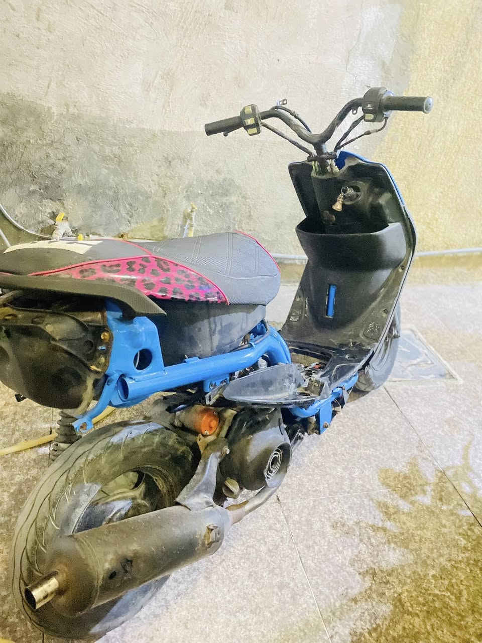سلام عليكم ماكس مال لعب مابيه اي نقص المكان بغداد السعر ٣٥٠وبيه مجال


**إذا كنت صاحب هذا الإعلان وتريد حذفه لأي سبب، رجاءا أرسل رسالة إلى الدعم الفني**