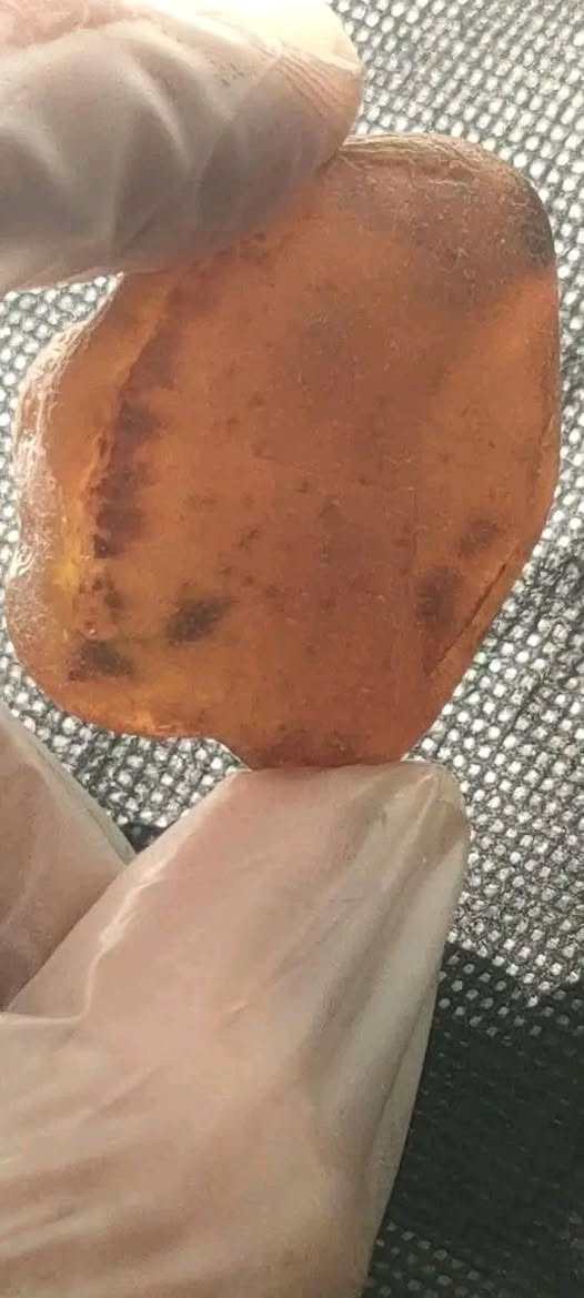 قطعه من الكهرمان الطبيعي


**إذا كنت صاحب هذا الإعلان وتريد حذفه لأي سبب، رجاءا أرسل رسالة إلى الدعم الفني**