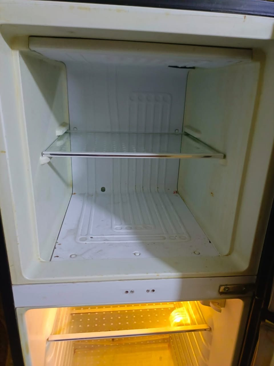 ثلاجه 10 قدم نضيفه وشغاله وشرط ع الفحص 
سعر 160 وبي مجال 
عنوان بغداد الحسينيه /الراشديه
***********
