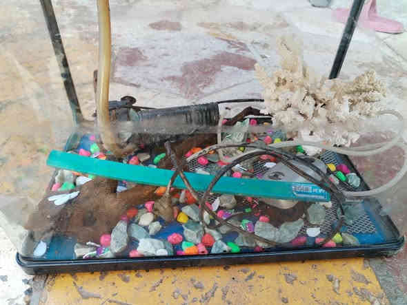 لام عليكم شباب.؟ حوض 📦مال سمج رتفاعه 47س وعرضه 47س  لبيع مستخدم اخو جديد شوفت عينك نضافه هوى وغراضه كلهن غطاس وحجر وكل غراضه وياه الله شاهد جانت سمجه بيه وماتت وريد هسه ابيعه ليريده يتواصل وياي او على رقم لام عليكم شباب.؟ قفص صندوق 📦مال سمج لبيع مستخدم اخو جديد شوفت عينك نضافه هوى وغراضه كلهن غطاس وحجر وكل غراضه وياه الله شاهد جانت سمجه بيه وماتت وريد هسه ابيعه ليريده يتواصل وياي او على رقم ***********
