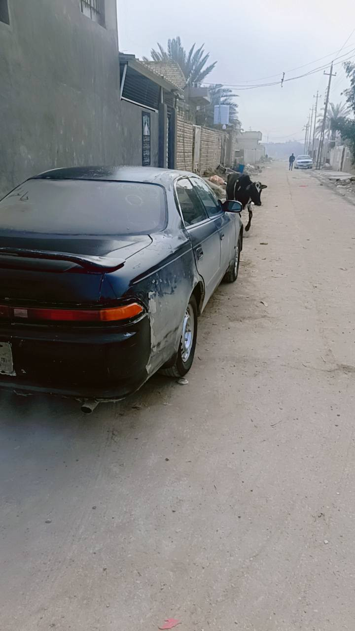 السلام عليكم مارك2 البيع موديل 1994 جاهزه مكينه وكير ثنين ونص حداديه نضيفه عربانه جديده تايرات جدد سنويه ال26راعيه يريد تحويل مكان ذي قار شطره (ملاحضه بيه ضربه بجعبه معمره)  مكفوله من نقل وتحويل  

***********
