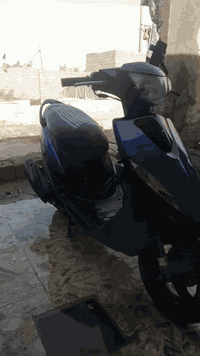 دراجة ماكس • كفالة عامة • واسط نعمانيه