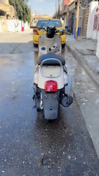 كفالة • مجال • ياماها