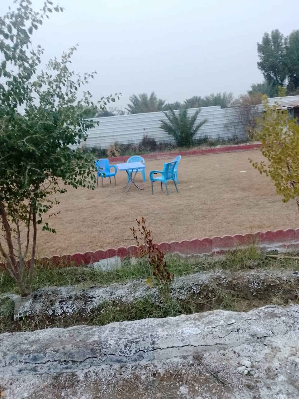 سلام عليكم ✨🚩للبيع دونم بيع مستعجل ✨🚩 
مزرعه طابو زراعي سند 25✨🚩
كل الخدمات متوفره بيها ✨🚩
وتحتوي على غرفتين وصاله وصحيات ومسبح وحديقه اماميه وحديقه خلفيه مزروعه رمان وعنب انواع الاشجار بيها✨🚩
مساحه دونم الوجه 25متر ✨🚩
والنزال 100متر مسيجه كلها ✨🚩
العنوان المسيب منطقه ابو عصافير ✨🚩
باقي تفاصيل اتصل او راسلني✨🚩
‏‪***********‬‏
