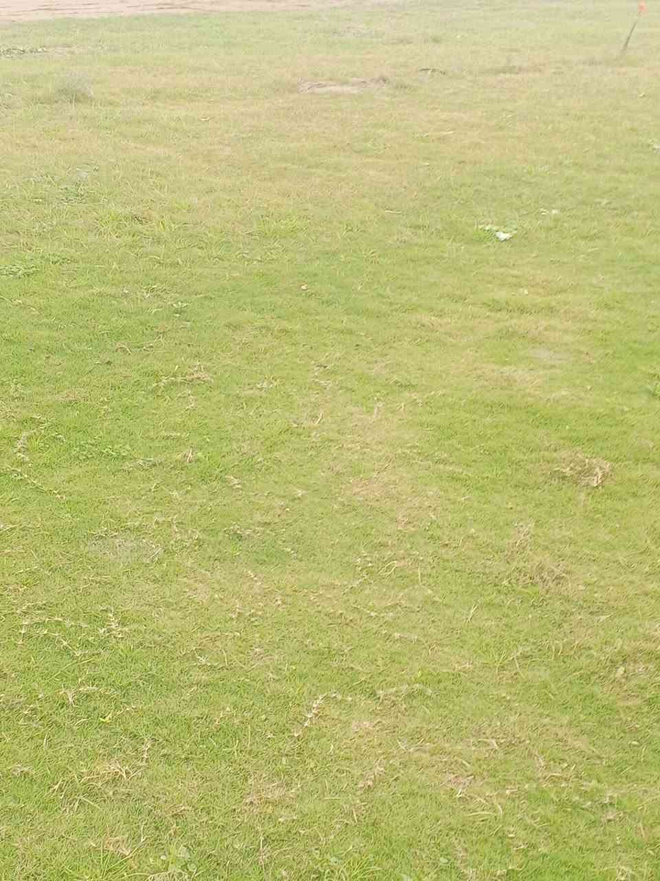 ثيل ديالى الطبيعي 🍀 متوفر كافة انواع الثيل
الثيل امريكي والهندي والايطالي والفرنسي
كادر متخصص :
لتجهيز... مشاتل🌴
والدوائر حكوميه🏦
منازل🏡 منتزهات🏄
موجود خدمة توصيل 🚕🚕 لكل محافظات العراق 
للطلب التواصل مع الصفحة او الاتصال على 
***********
