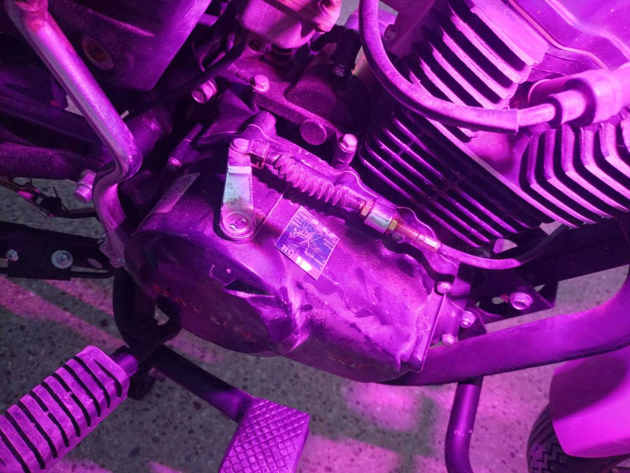 نفخ مكينه 200 لون بنفسجي أوراق اصلي بسمي ومكمرك وكامل وحولك بسمك وتروح ترقم كفاله عامه فووول مال جناي مكاني كربلاء سعر مليون 600 وبيه مجال 2023 مكينه 200
كشن طبي سويج سجينه ***********
