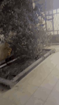 بيت للايجار ١٠٠م ملحق الاطباء طابق ونص ٢ غرف نوم للاستفسار 07718528486