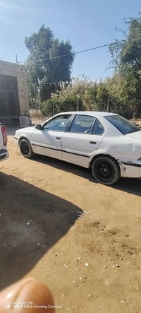 سمند ناطق • ٢٠١٠ • اوراق