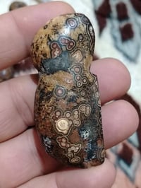 الخام اليماني • مجموعة • مصور