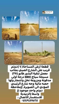 الزبيدية واسط • ١ دونم • طابو ٢٥