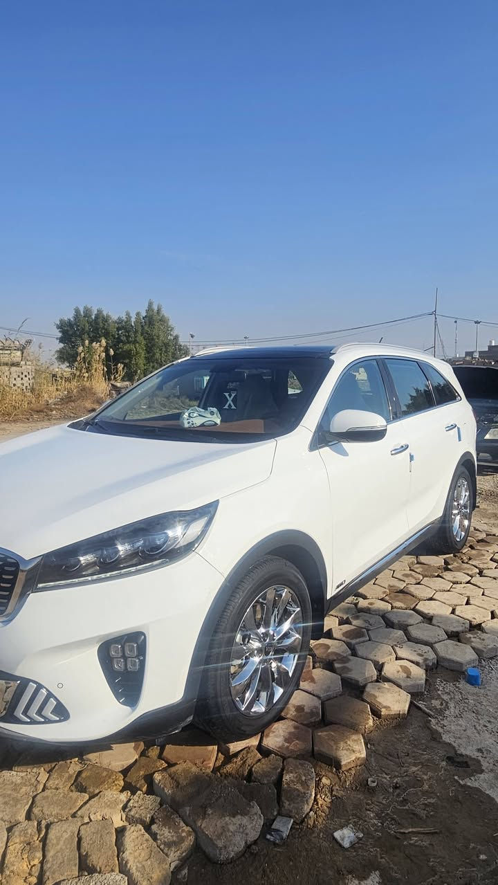 سورنتو خليجي 18 كفاله عامه
رقم بغداد
مواصفاته... فور ويل +تدفئه وتبريد بالكشنات +بنروما +4انظمه قياده +كافه المواصفات المعروفه عن السورنتو
ماشيه 149 كم حقيقي.... السعر المطلوب 255قفل 
باقي التفاصيل ***********
