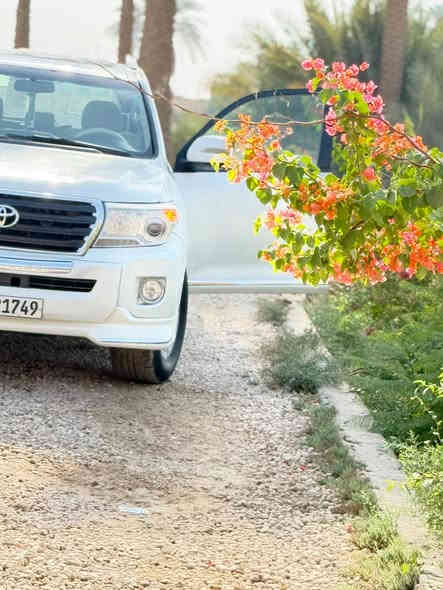 السلام عليكم
للبيع او المراوس
لاندكروز 2011محدث 14

رقم سليمانيه الجديد بأسمنه  

تريد تحويل تريد وكاله 

السياره 6V سبعه راكب

فتحه سقف(بنوراما) 

محرك وكير كفاله 

حادثها جاملغ وبنيد

سعرها 283

مكان السياره حله

رقم الهاتف: ***********
