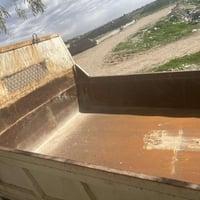 بودي • اميكو