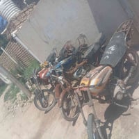 مزاد • حلوات • سوك شيوخ